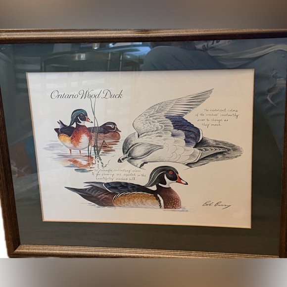 Framed Print Titled 